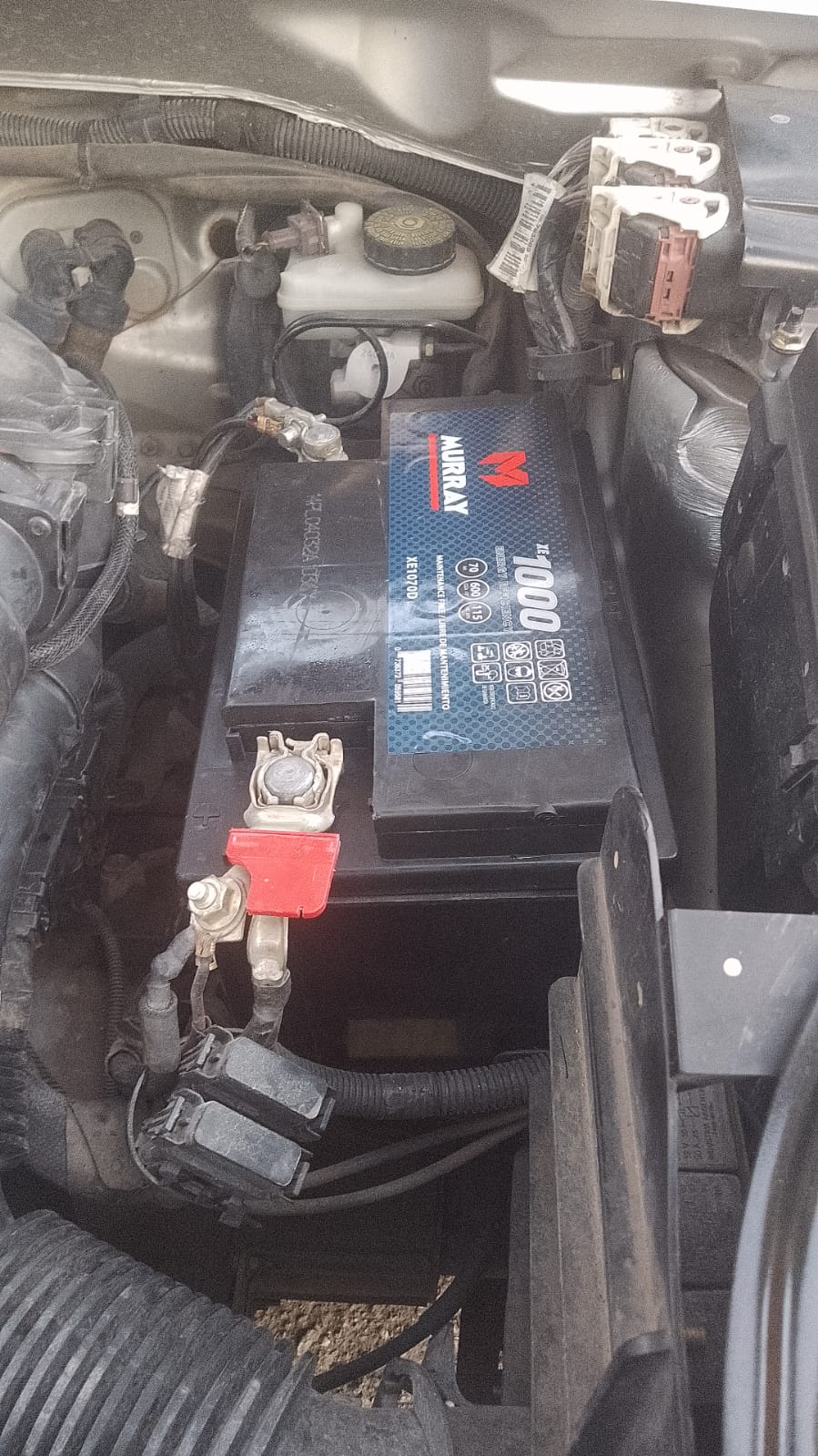 bateria murray 12x75 reforzada